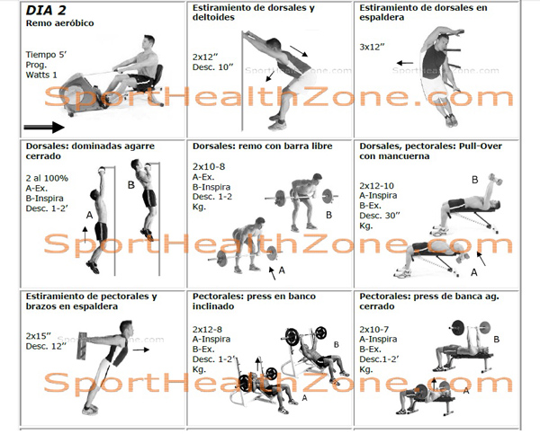 musculacion entrenamiento avanzado pdf gratis